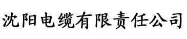 五月丁香影视电缆厂logo